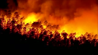 Massive forest fire in New Jersey lights up night sky