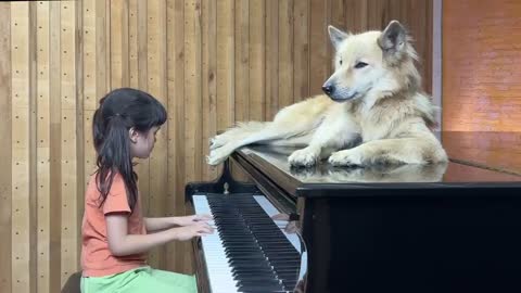 'Moon River' on Piano for Sharky the Dog