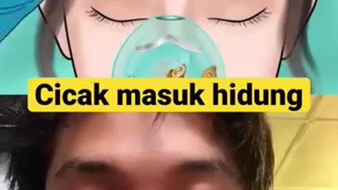 CICAK MASUK HIDUNG #viral