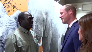 Prince William honors African conservation champions