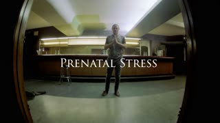 Regen Ryan - Prenatal Stress (Official Music Video)