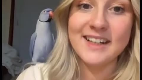 Cute Parrot Doesn't Let Me Talk 😒😇🤣