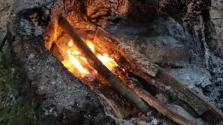 Cooking a stump Part 4