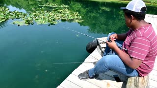 Catching A Bass