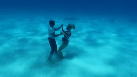 Dancing with Sharks- Shark Couple- Ocean Ramsey & JuanSharks