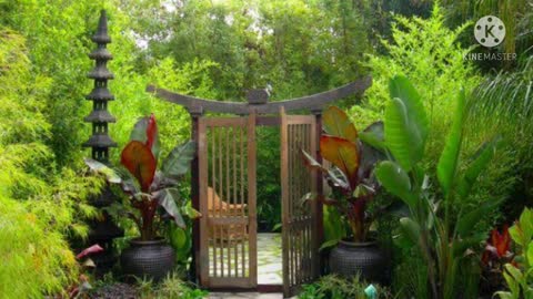 20 Tropical Garden Ideas