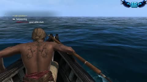 Assassin's Creed 4 All Harpooning Activities & The White Whale ( Moby Dick )