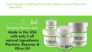 Harmony's Plantain Salve