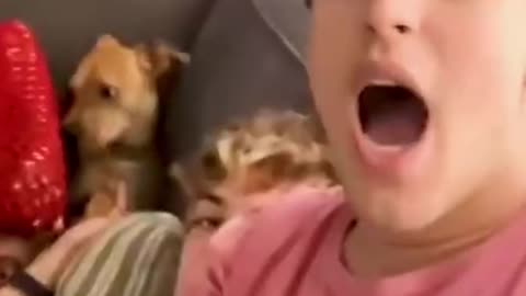 The funniest videos with pets