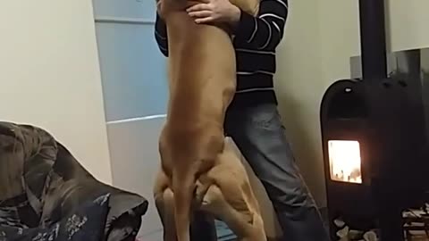 Big dog gives big love