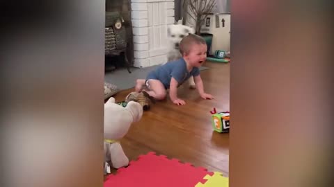 Cutest Babies Play With Dogs And Cats Compilation __ Part 2 NoLifeWithoutPet