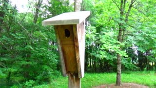 Bird House