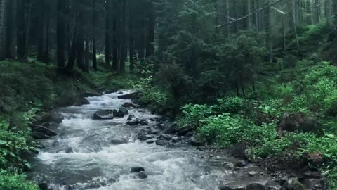 Water Sounds. Amazing.Soothing sound of water