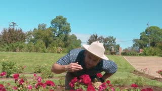 Tyler Rose Garden- Daytripeer