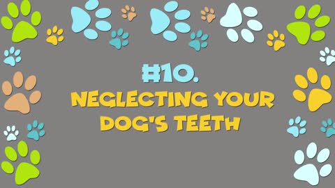 12 Harmful Things You Do Your Dogs Without Realizing