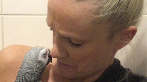 Parrot ask mommy for cuddles before shower
