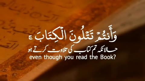 Qur'an for all💫