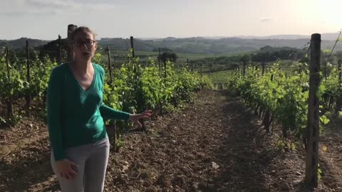 Italy Unfiltered Meet the winemaker #1 Valeria Losi, Chianti Classico, Italy