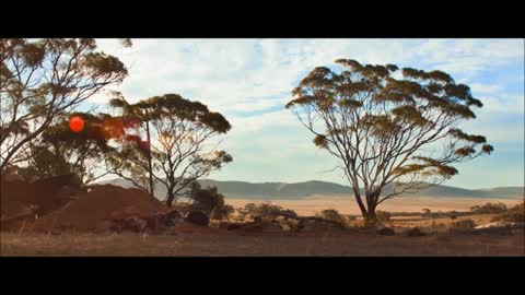 The Water Diviner - Finding Water