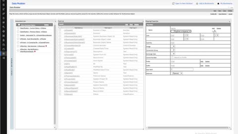 TRIRIGA Development - Business Objects - Part 5 - BO Mapping