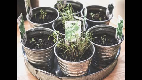 Indoor Herb Garden - KHAWY Indoor Hydroponic Herb Garden Planter with Grow Light, Indoor Grow G...