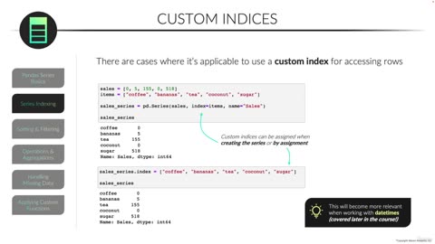 The Series Index & Custom Indices/Pandas Series video 5