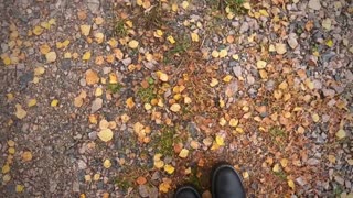 Autumn in Finland Kokkola