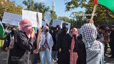 Tehran? Nope. Brooklyn, New York in support of HAMAS