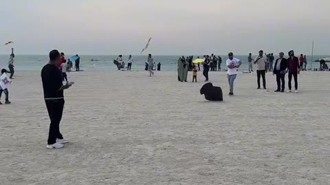 Bahrain Basant kite