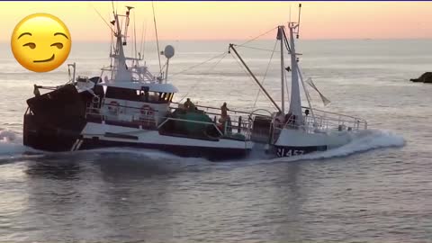 Overloaded Commercial Fisherman Returning to Port With 175 Tons of SPRAT