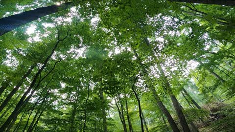 Brown County State Park MTB July 24, 2021