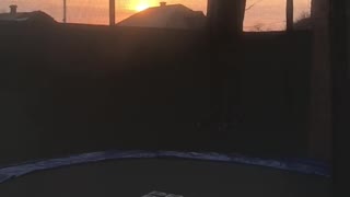 Nice backflip on trampoline