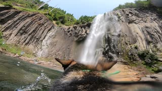 GoPro-wearing pup plays fetch in giant waterfall