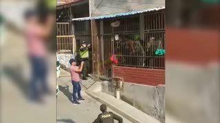 Video: Capturaron a los presuntos homicidas de un comerciante en El Socorro