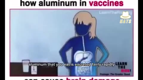Leading expert explains how aluminum in vaccine can cause brain damage in our children