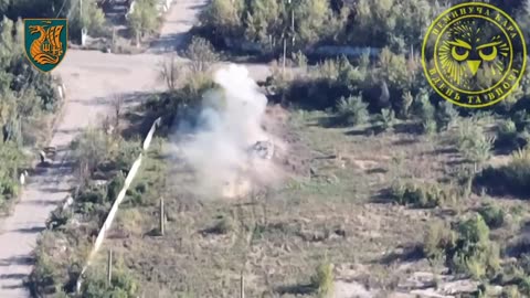 Ukrainian Drones Hunting Russian Armor