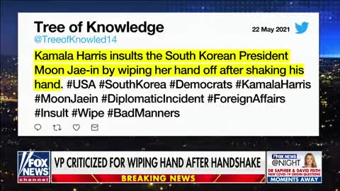 Kamala Harris under fire for wiping hand after handshake after shaking South Korean President's hand