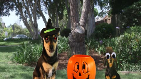 Pixeladog & Halloween