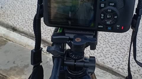 Minimalist Camera to Support Work