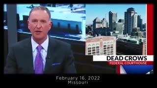 (February 2022) More & More & More Birds are dropping dead in mid flight (5G)