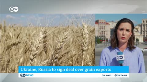 Grain export deal would ease global food crisis - What does the deal look like? | DW News