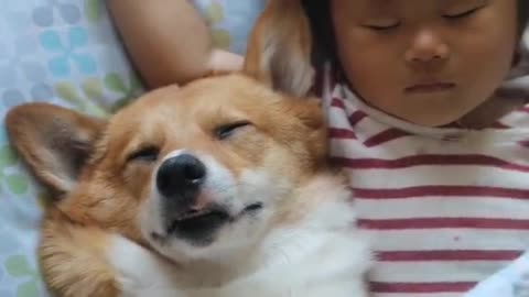 Dog and baby preciously nap together