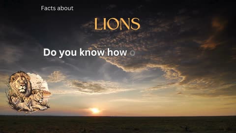 Lion facts 1- Do you know how old lions get?