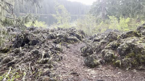 Hiking Through Volcanic Lava Rock Transition Zone – Clear Lake – Central Oregon – 4K