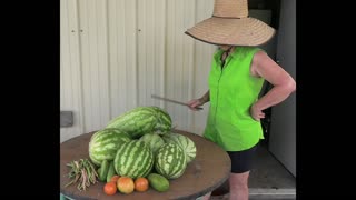 GARDEN MELONS