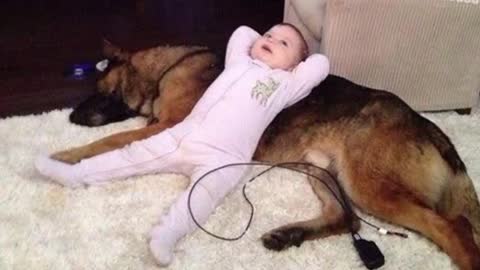 Cute moments German Shepherd Dogs and kids playing together.