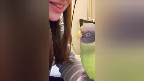 Clever parrot learns to whistle, absolutely enjoys it