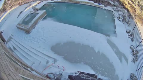 Little Girl Saves 90 Pound Lab from Icy Pool