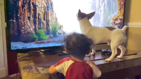 Adorable puppy Reacts to the lion king Dog/Dog watching TV/ Emotional reaction To the lion king