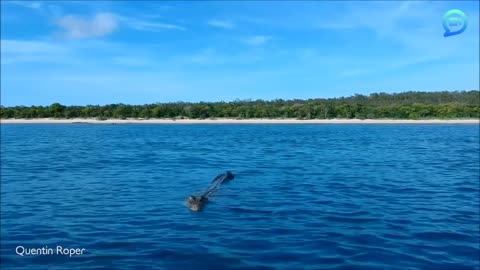 Whale Sneezes On A Woman